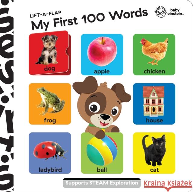 Baby Einstein Lift A Flap My First 100 Words Novelty Board Book P I Kids 9781503758926 PHOENIX INTERNATIONAL