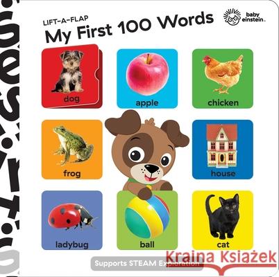 Baby Einstein: My First 100 Words Lift-A-Flap: Lift-A-Flap Pi Kids 9781503762459 Pi Kids