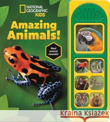 National Geographic Kids: Amazing Animals! Sound Book  9781503774940 Pi Kids