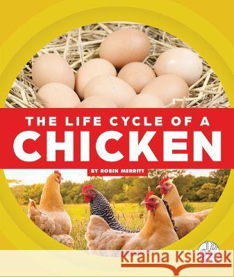 The Life Cycle of a Chicken Robin Merritt 9781503858428 Wonder Publishing