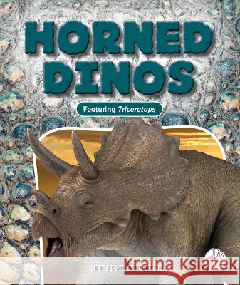Horned Dinos Josh Anderson 9781503865259 Wonder Publishing
