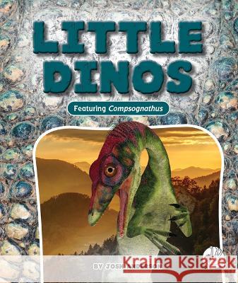 Little Dinos Josh Anderson 9781503865273 Wonder Publishing