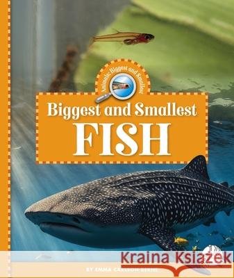 Biggest and Smallest Fish Emma Carlson Berne 9781503875616