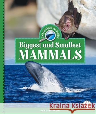 Biggest and Smallest Mammals Kelley Barth 9781503875623