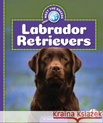 Labrador Retrievers Susan H. Gray 9781503875852
