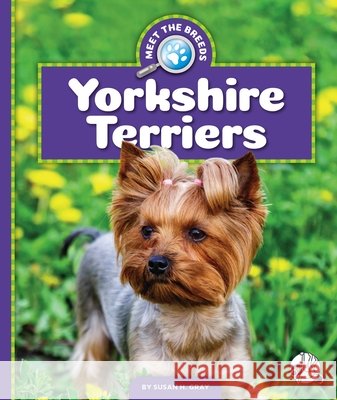 Yorkshire Terriers Susan H. Gray 9781503875913