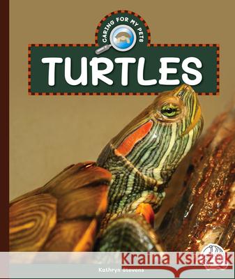 Turtles Kathryn Stevens 9781503888722