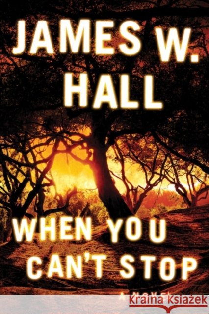 When You Can't Stop James W. Hall 9781503903067