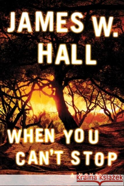 When You Can't Stop James W. Hall 9781503903067 Amazon Publishing