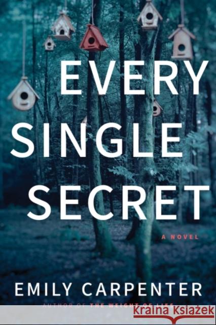 Every Single Secret: A Novel Emily Carpenter 9781503951907