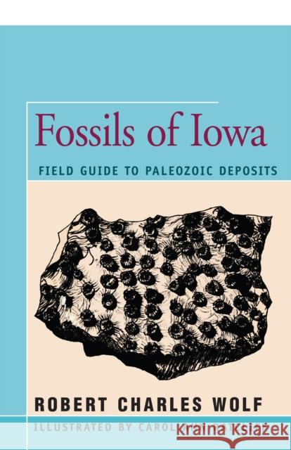 Fossils of Iowa: Field Guide to Paleozoic Deposits Robert Wolf Carol Ann Ratliff 9781504032919 Open Road Distribution