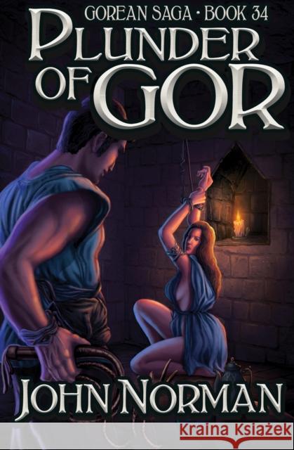 Plunder of Gor John Norman 9781504034067 Open Road Media Science & Fantasy