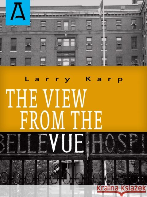 The View from the Vue  9781504036139 Open Road Distribution