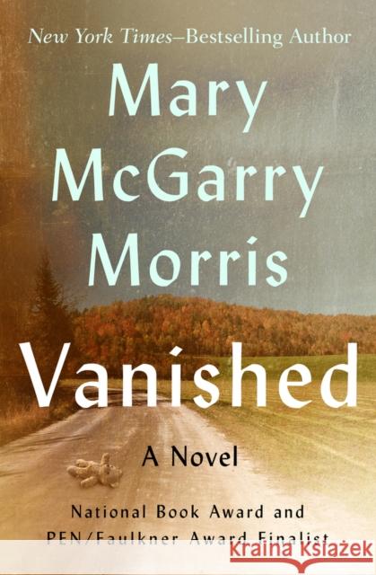 Vanished Mary McGarry Morris 9781504048125