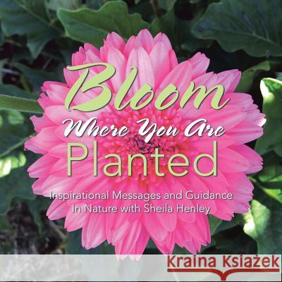 Bloom Where You Are Planted: Inspirational Messages and Guidance In Nature with Sheila Henley Henley, Sheila 9781504305846 Balboa Press