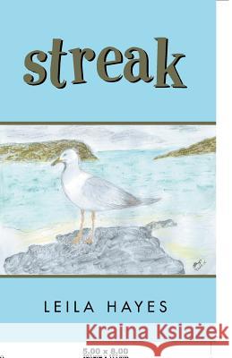 Streak Leila Hayes 9781504314381