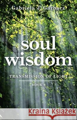 Soul Wisdom: Transmission of Light Gabriela J. Garbacz 9781504317672 Balboa Press Au