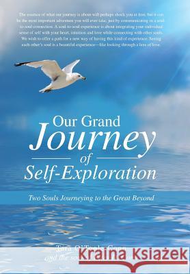 Our Grand Journey of Self-Exploration: Two Souls Journeying to the Great Beyond Tara O'Toole-Conn 9781504325707 Balboa Press