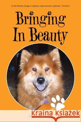 Bringing In Beauty Malcolm Pullen 9781504365543 Balboa Press