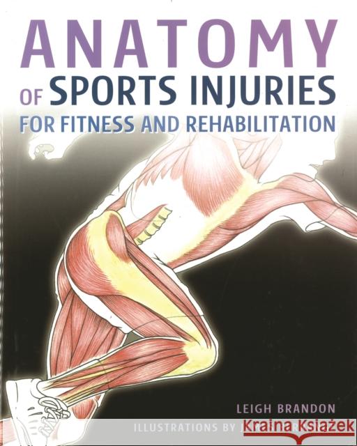 Anatomy of Sports Injuries L Brandon 9781504801812 IMM Lifestyle