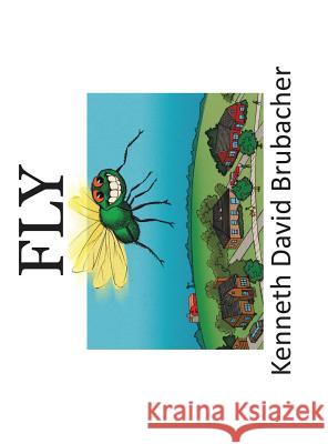 Fly Kenneth David Brubacher 9781504953559 Authorhouse