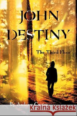 John Destiny: The Third Floor Andrew Carter 9781504999489 Authorhouse