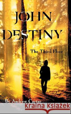 John Destiny: The Third Floor Andrew Carter 9781504999502