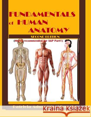 Fundamentals of Human Anatomy 2nd Edition Prof Patricia Adumanu Ahanotu 9781505333886 Createspace