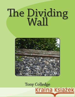 The Dividing Wall Tony Colledge 9781505378306