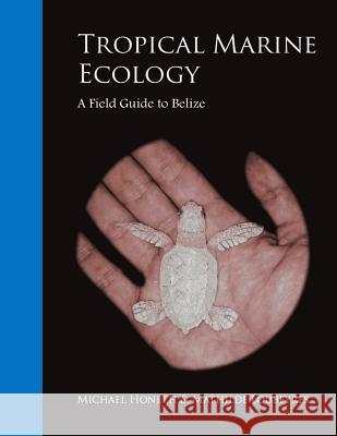 Tropical Marine Ecology: A Field Guide to Belize Michael Honeth Mathilde Loubeyres 9781505431018 Createspace