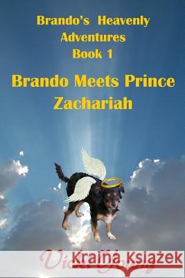 Brando Meets Prince Zachariah Vicki Young Shari Broyer 9781505441901