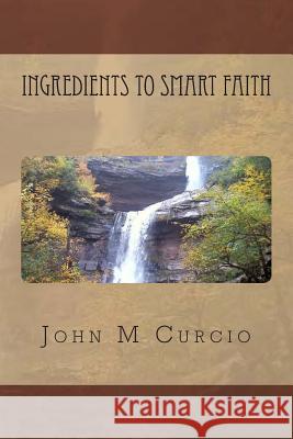 Ingredients To Smart Faith John M. Curcio 9781505473148