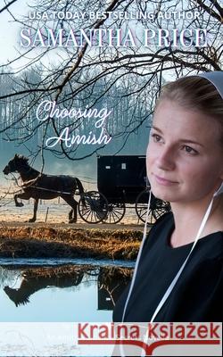 Choosing Amish Samantha Price 9781505544909 Createspace