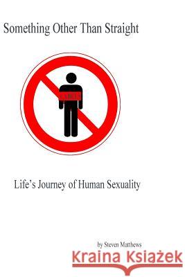 Something Other Than Straight: Life's Journey of Human Sexuality Steven Matthews 9781505666731 Createspace