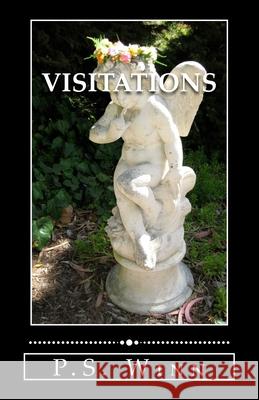 Visitations: 10 short stories of the paranormal Winn, P. S. 9781505700992 Createspace