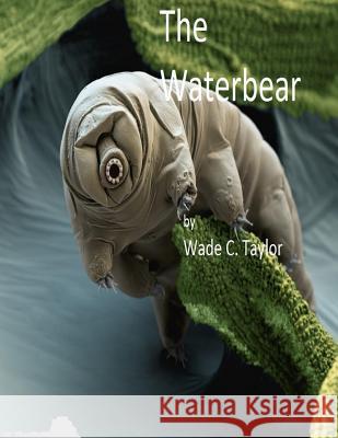 The Waterbear: Some Kind Of Love Taylor, Wade C. 9781505737462 Createspace