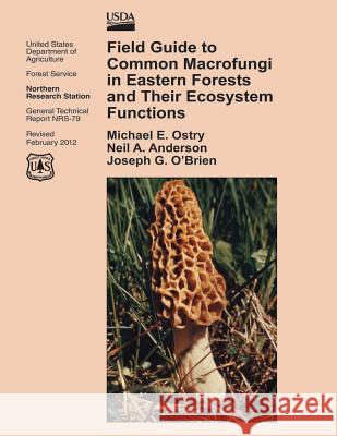 Field Guide to Common Macrofungi in Eastern Forests and Their Ecosystem Functions United States Department of Agriculture 9781505825251 Createspace