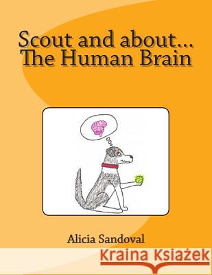 Scout and about...The Human Brain Sandoval, Alicia 9781505910247