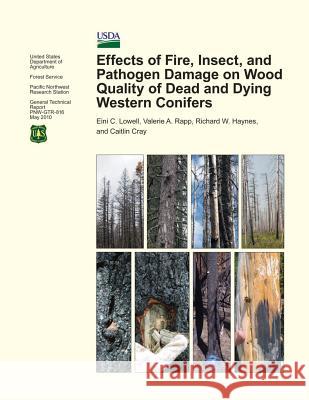 Effects of Fire, Insect, and Pathogen Damage on Wood Quality of Dead and Dying Western Conifers Forest U 9781506121437 Createspace