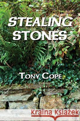 Stealing Stones Tony Cope 9781506127316 Createspace
