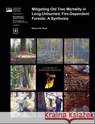 Mitigating Old Tree Mortality in Long-Unburned, Fire-Dependent Forests: A Synthesis Sharon M. Hood 9781506139906 Createspace