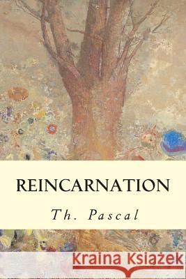 Reincarnation Th Pascal 9781506190433 Createspace