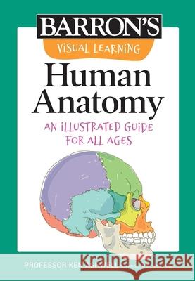 Visual Learning: Human Anatomy: An Illustrated Guide for All Ages Ken Ashwell 9781506280950 Barrons Educational Series