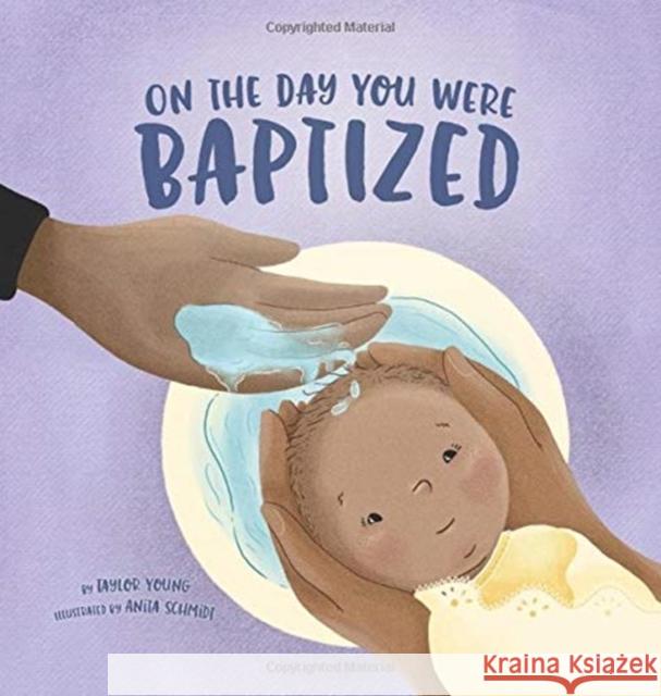 On the Day You Were Baptized Taylor Young Anita Schmidt Andrew DeYoung 9781506455525 Beaming Books