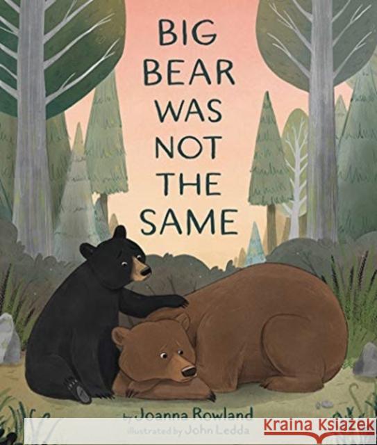 Big Bear Was Not the Same Joanna Rowland John Ledda 9781506471419