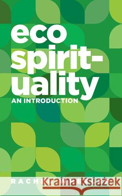 Ecospirituality: An Introduction Rachel Wheeler 9781506473864 Fortress Press