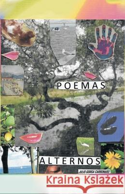 Poemas Alternos Julio Gorga Carbonaro 9781506531748