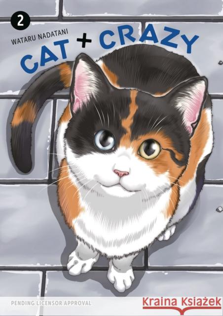 Cat + Crazy Volume 2 Susie Lee 9781506747095