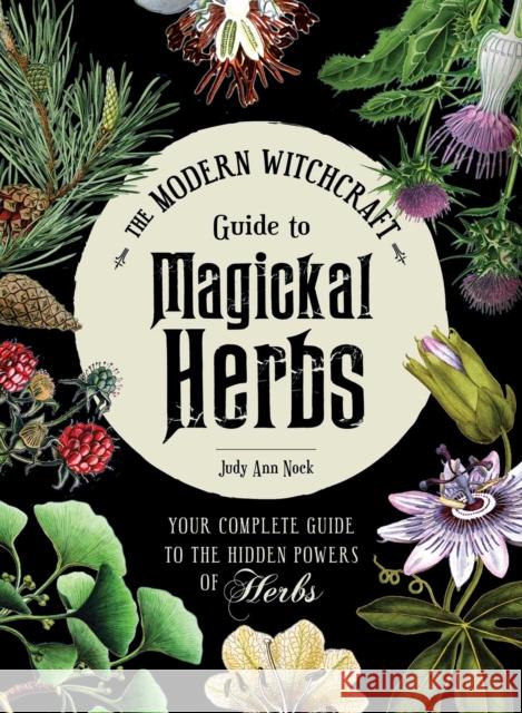 The Modern Witchcraft Guide to Magickal Herbs: Your Complete Guide to the Hidden Powers of Herbs Judy Ann Nock 9781507211489 Adams Media Corporation