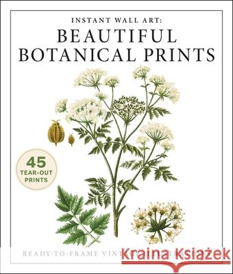 Instant Wall Art: Beautiful Botanical Prints: Ready-To-Frame Vintage Illustrations Adams Media 9781507224595 Adams Media Corporation